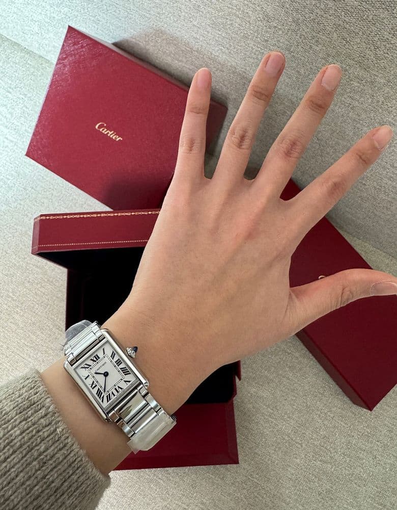 Cartier Tank Must Steel (Small)