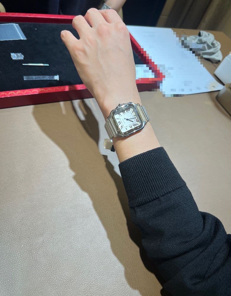 Cartier Santos Large