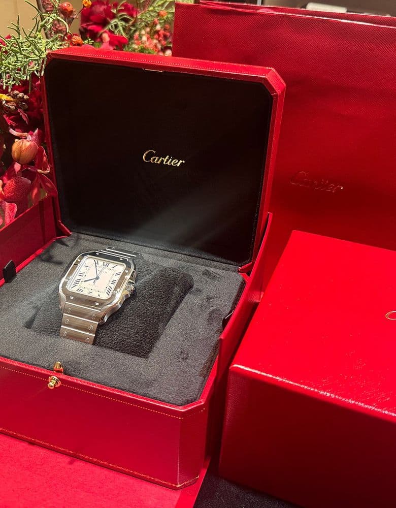 Cartier Santos Large