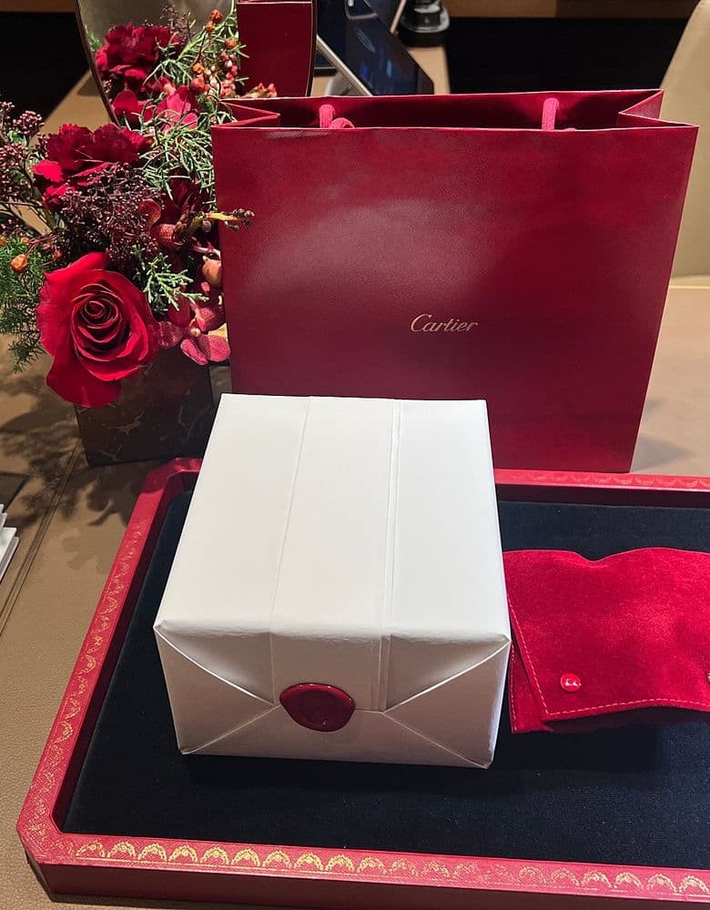 Cartier Santos Large