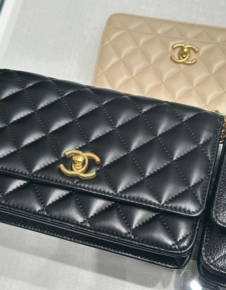 Chanel's latest seasonal bag.