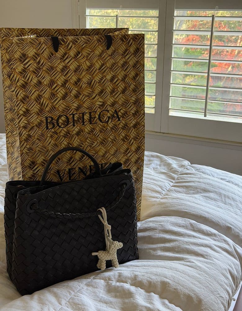 보테가베네타 안디아모 백