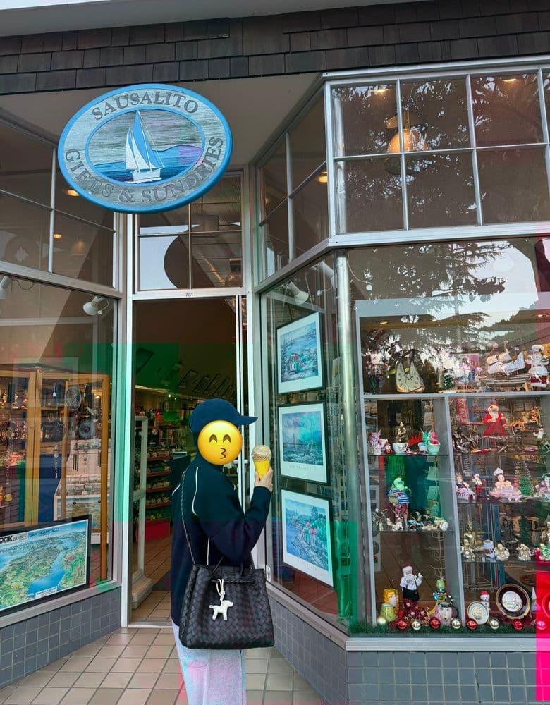 보테가베네타 안디아모 백