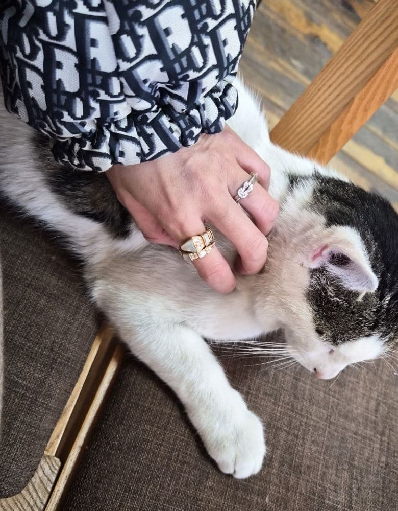 Dior Padded Jacket, Bulgari & Fred Rings, Dior Lady Bag