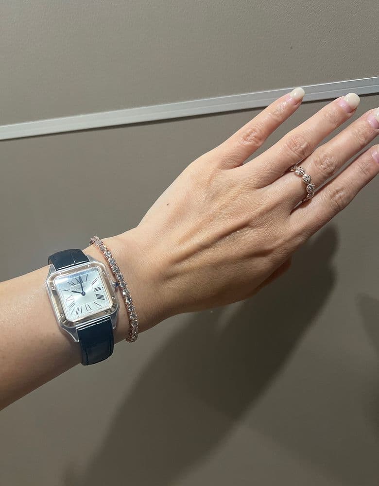 까르띠에 산토스뒤몽