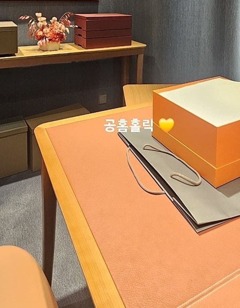 에르메스 버킨25 르투르네 토고