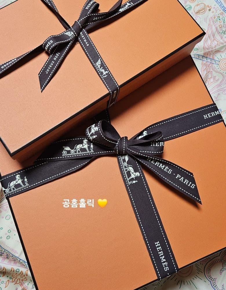 에르메스 버킨25 르투르네 토고