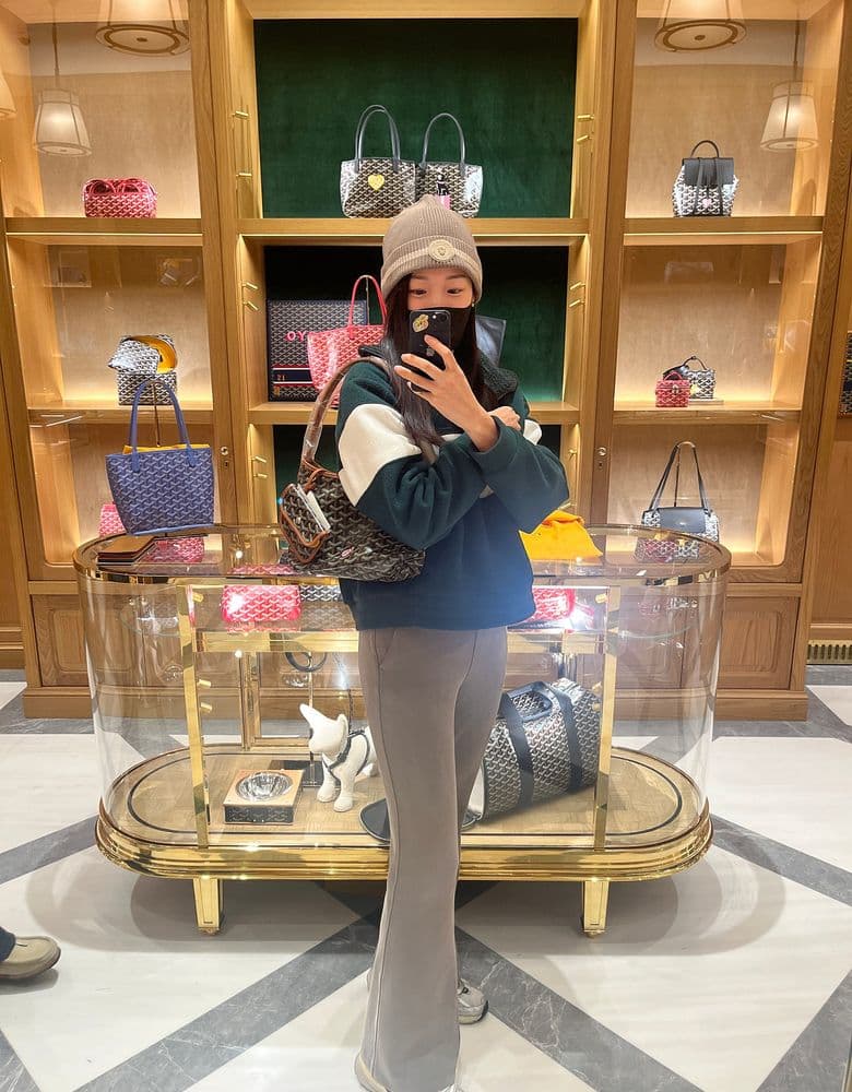 고야드 신상보헴 미니