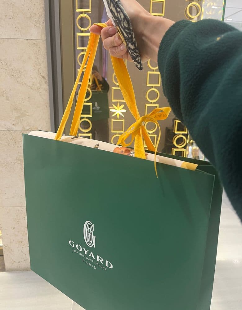 고야드 신상보헴 미니