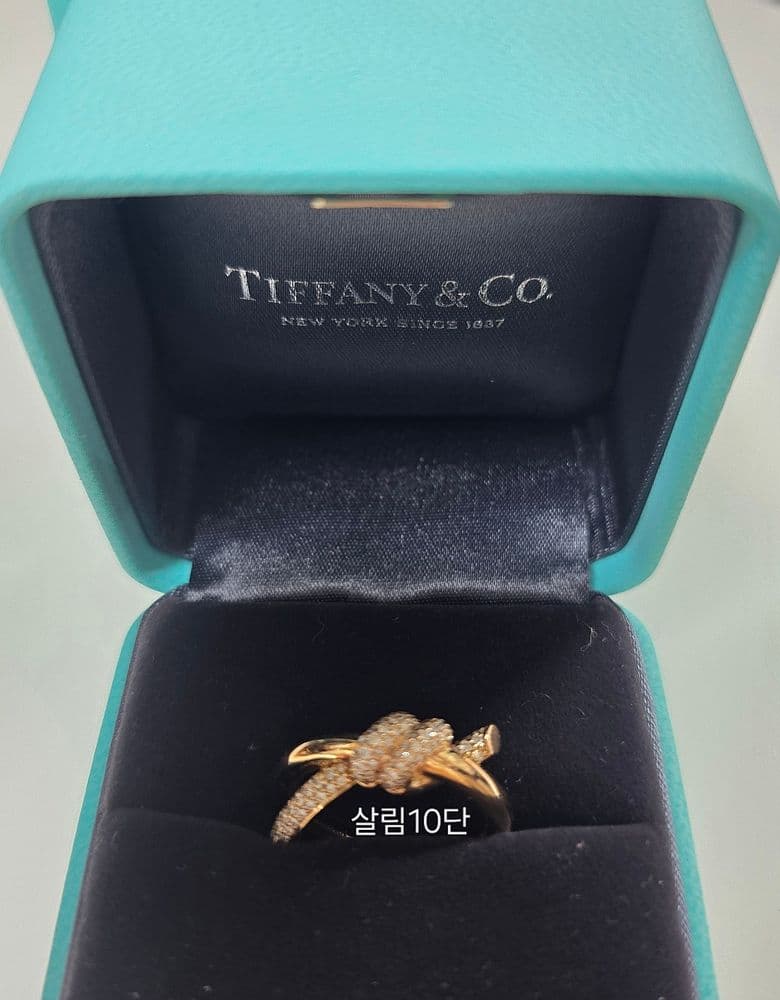 티파니앤코 더블노트링, 2025년 최애템!