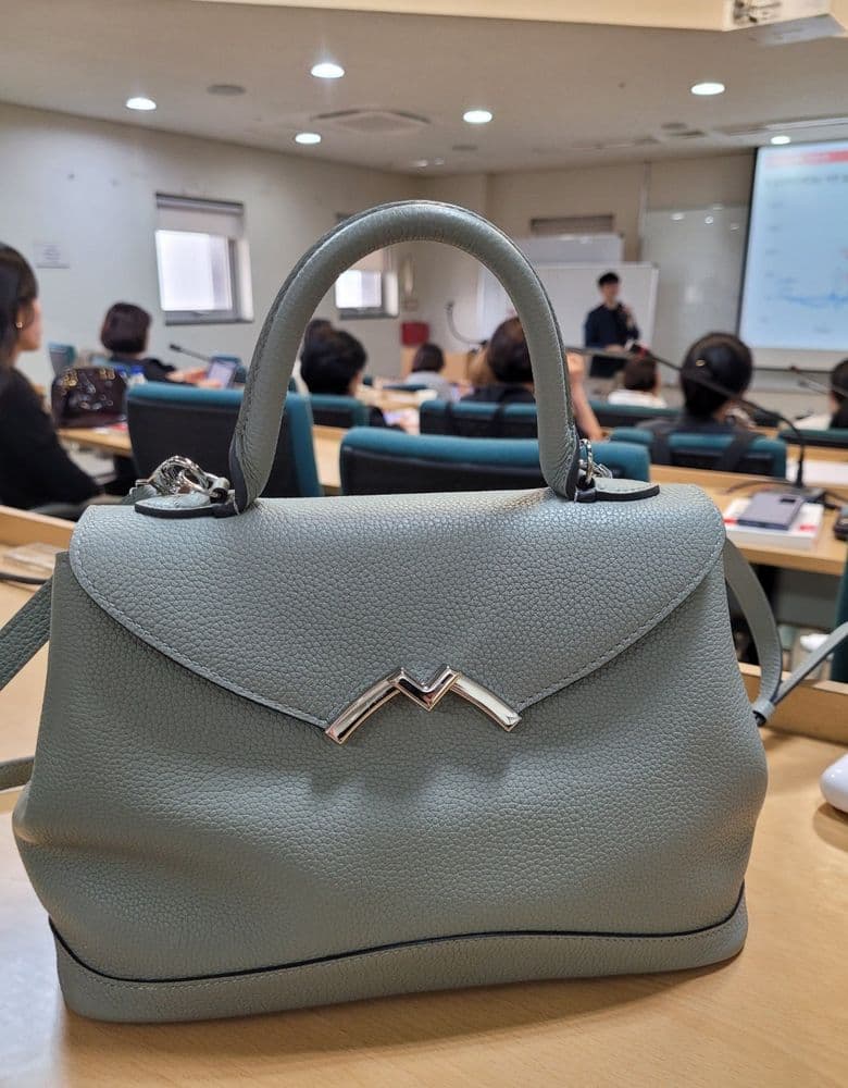 Moynat Gabrielle Bag