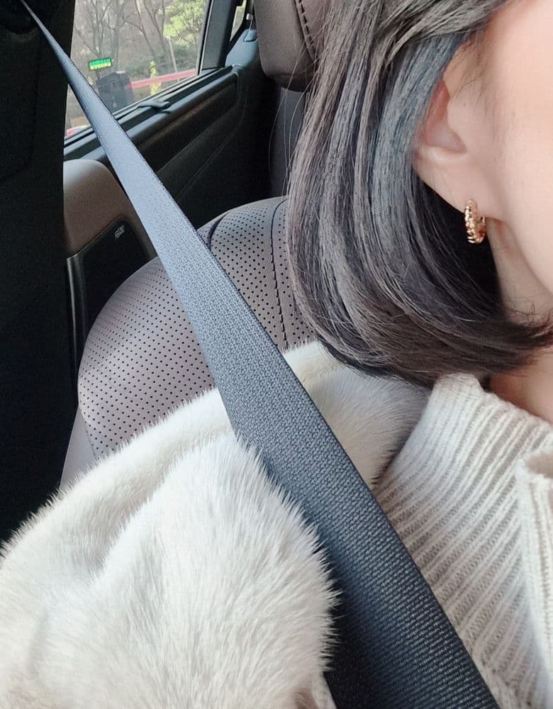 불가리 투보가스 이어링