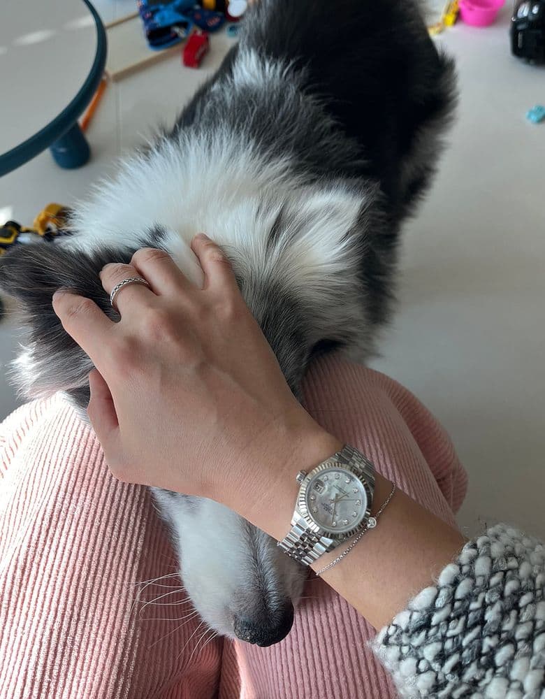 다무르 화골 미니