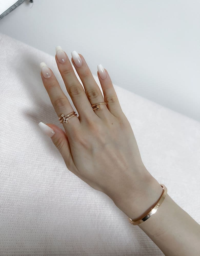 루이비통 이딜블라썸 링, 여권지갑