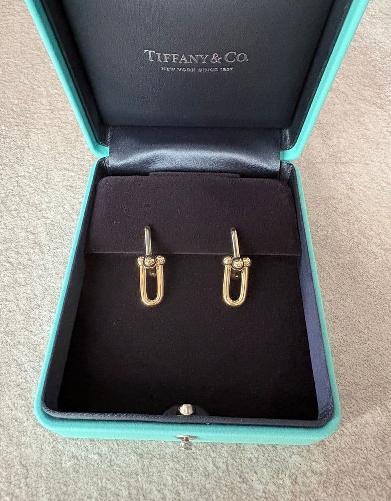 다미아니 벨엘포크, 티파니 링크 귀걸이, 보테가베네타 인디아모