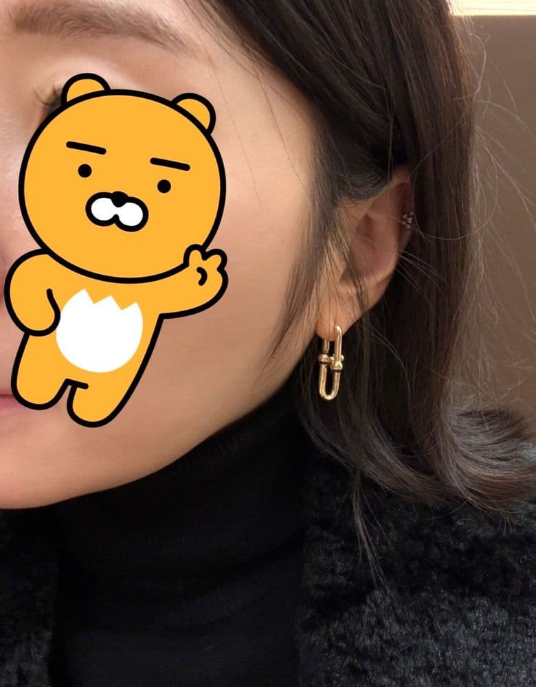 다미아니 벨엘포크, 티파니 링크 귀걸이, 보테가베네타 인디아모