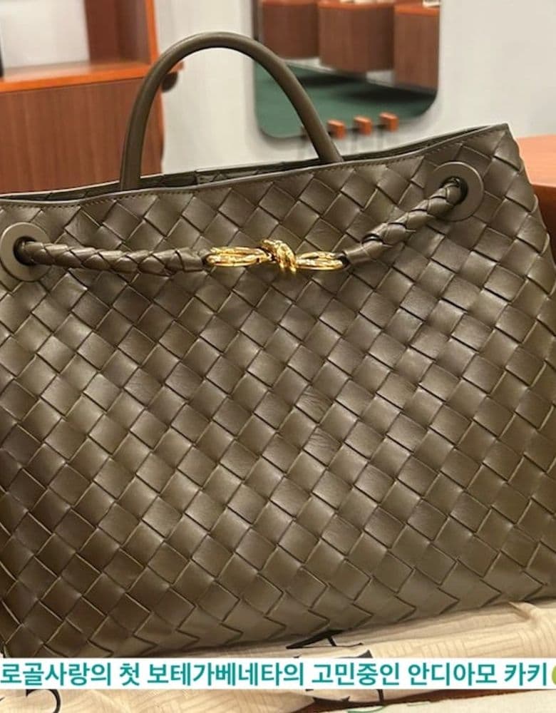 Bottega Veneta Andiamo bag