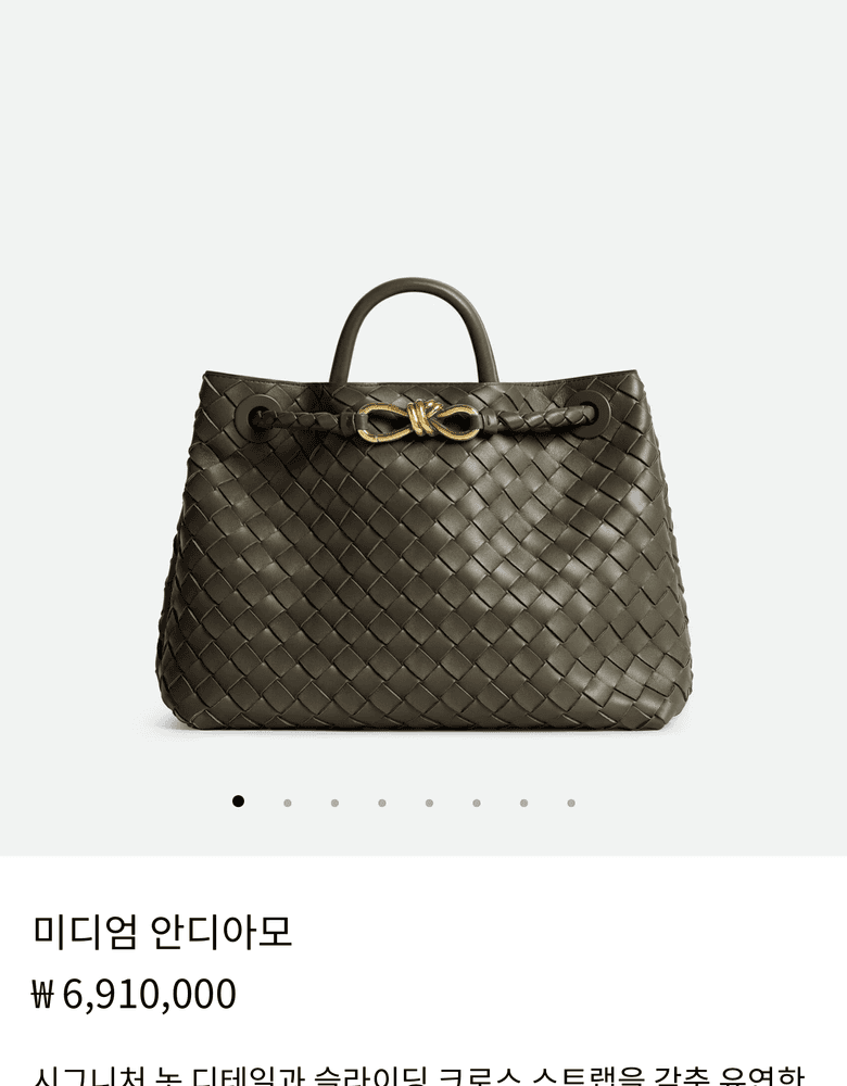 Bottega Veneta Andiamo bag