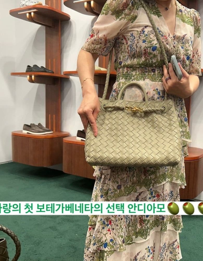 Bottega Veneta Andiamo bag