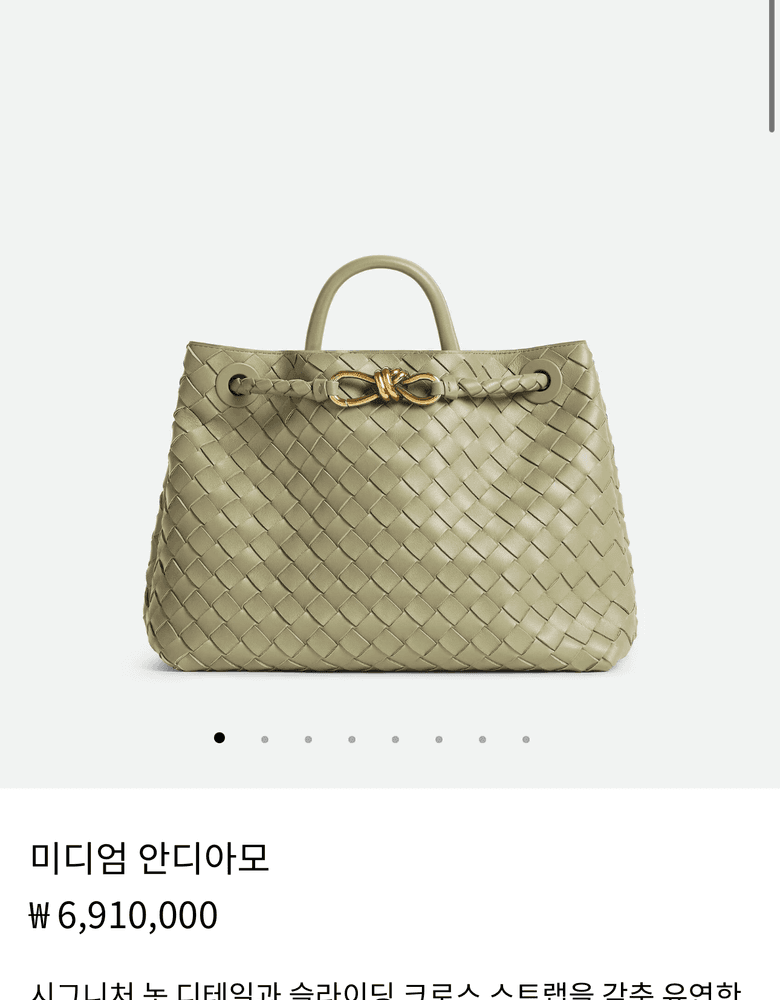 Bottega Veneta Andiamo bag