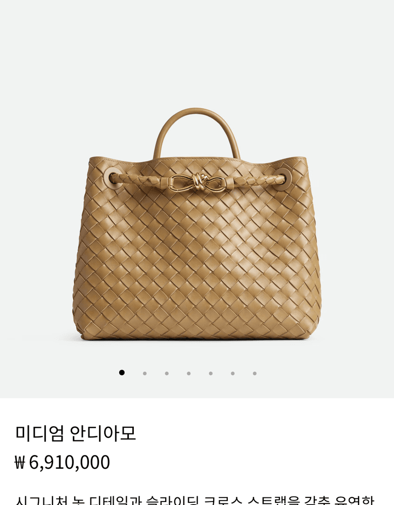 Bottega Veneta Andiamo bag