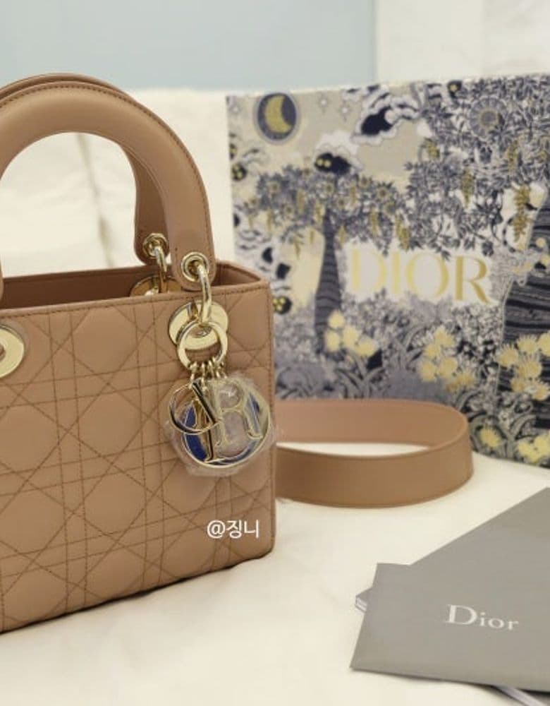 Dior Lady Bag / Saint Laurent Top Handle / Chanel WOC / Celine Card Wallet