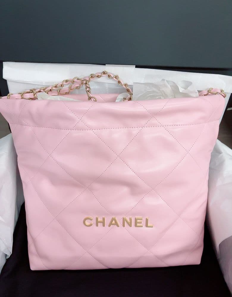 Classic Small Chanel bag, the 22 bag.