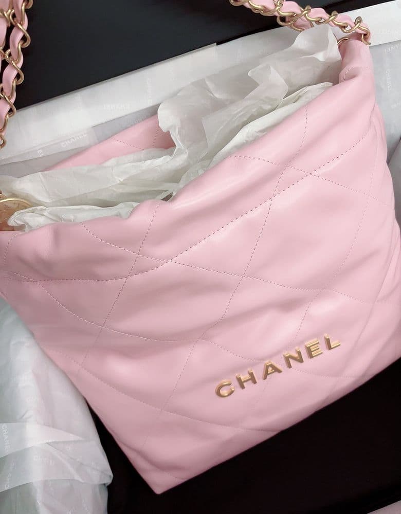 Classic Small Chanel bag, the 22 bag.