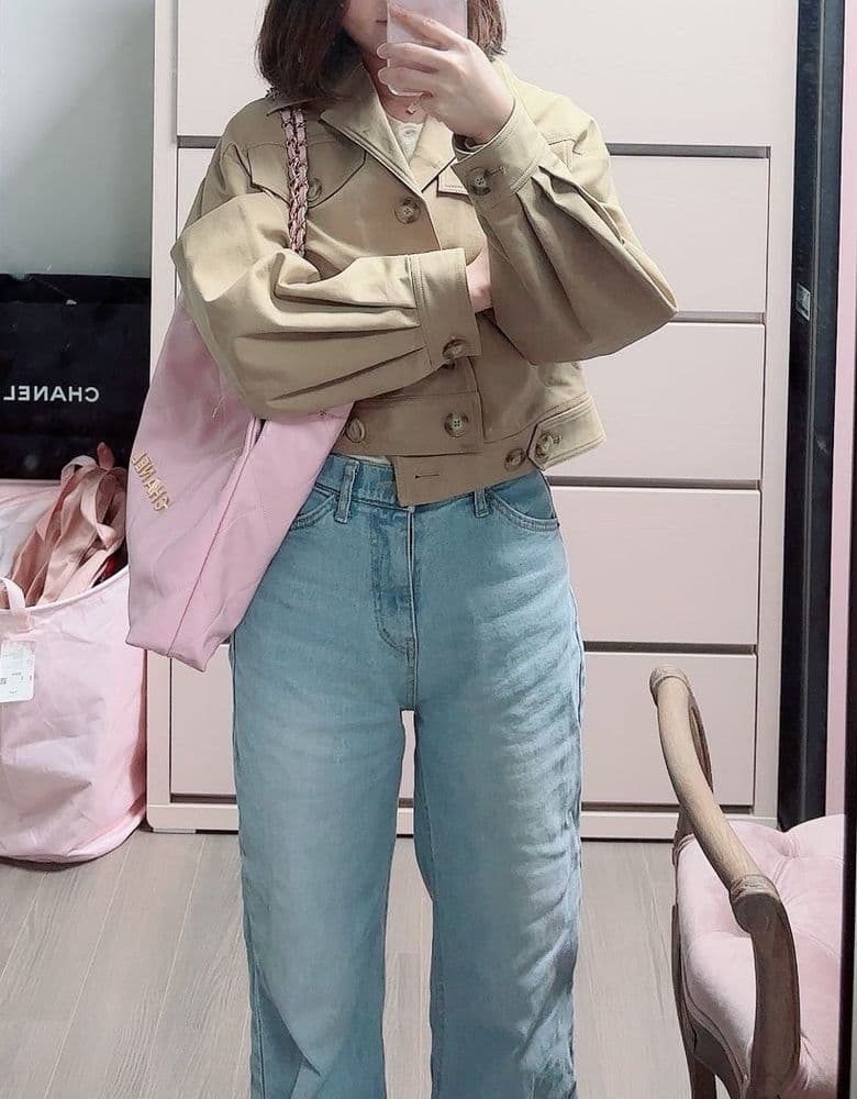 Classic Small Chanel bag, the 22 bag.