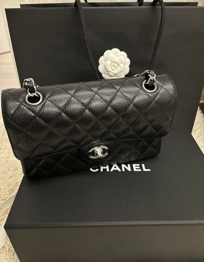 Classic Small Chanel bag, the 22 bag.
