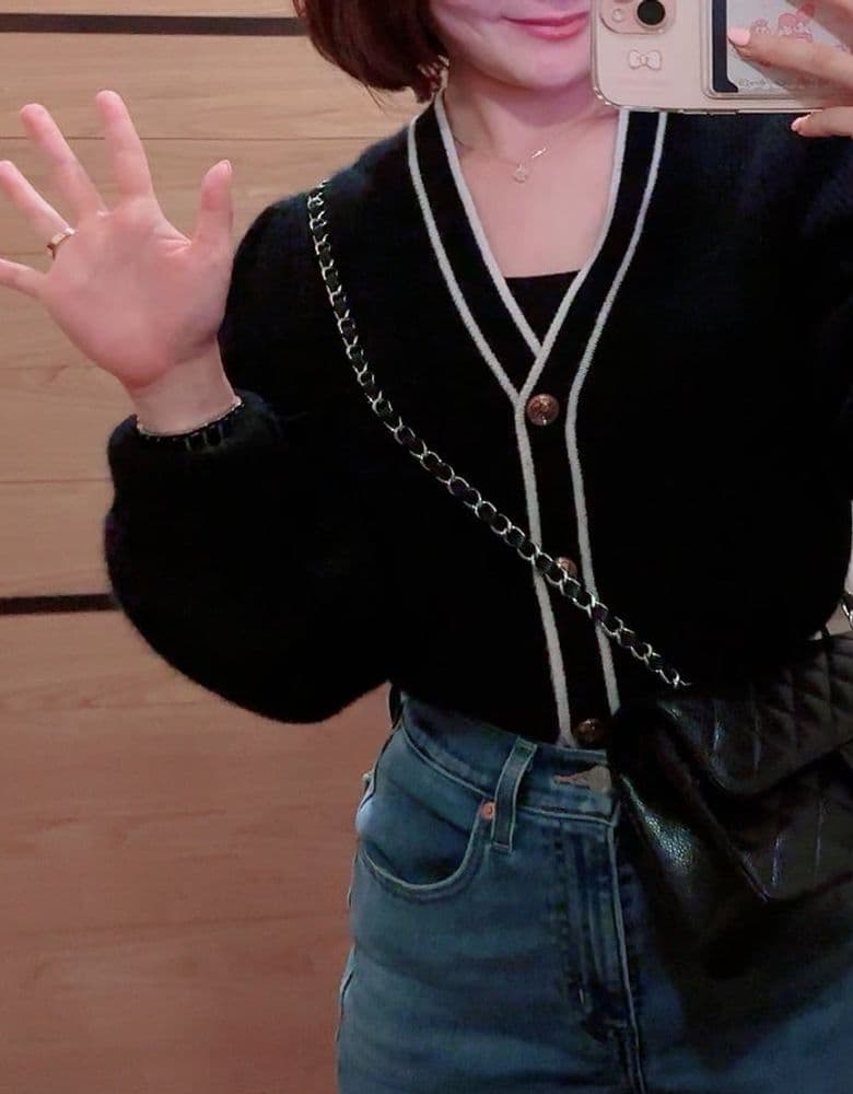 Classic Small Chanel bag, the 22 bag.