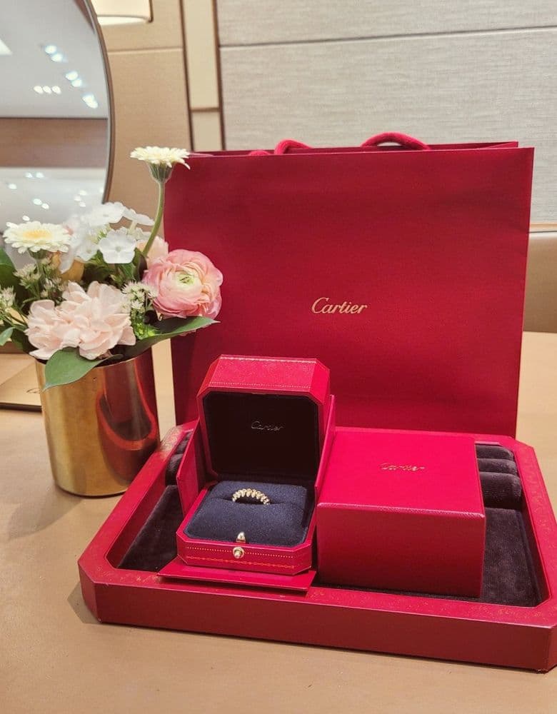 Cartier Tank Louis and Clash