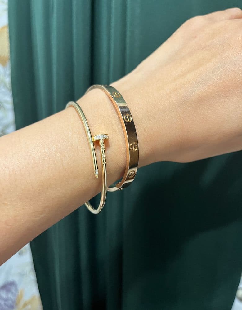 Cartier Love and Juste un Clou