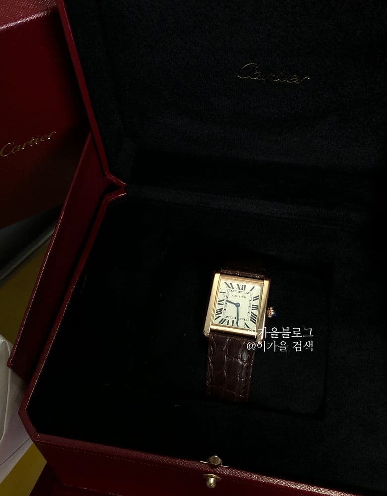 Cartier Tank Solo and Love Bracelet SM