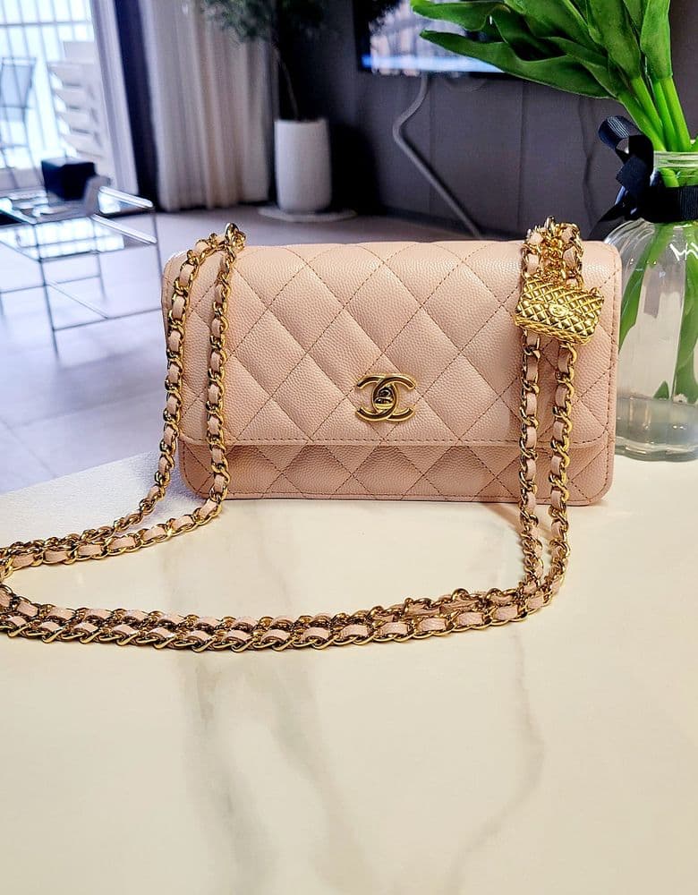 Chanel Season Bag in Light Pink (Mini)