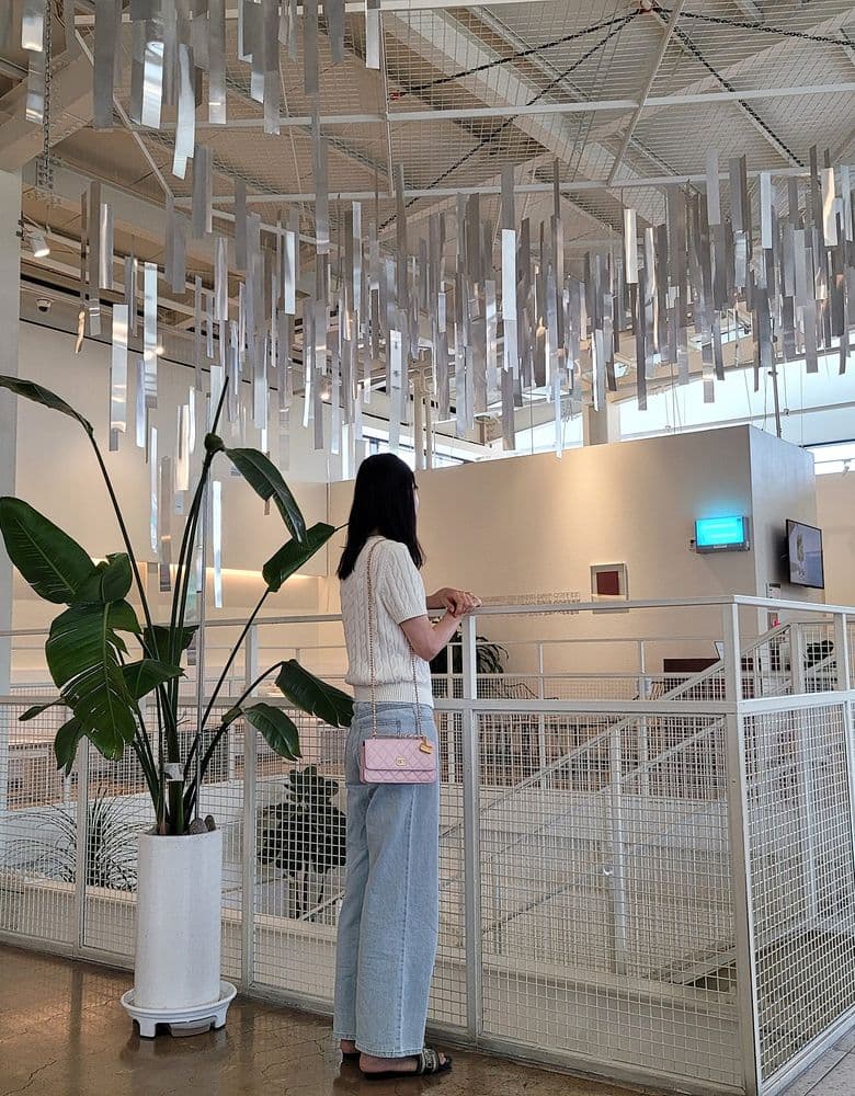 Chanel Season Bag in Light Pink (Mini)