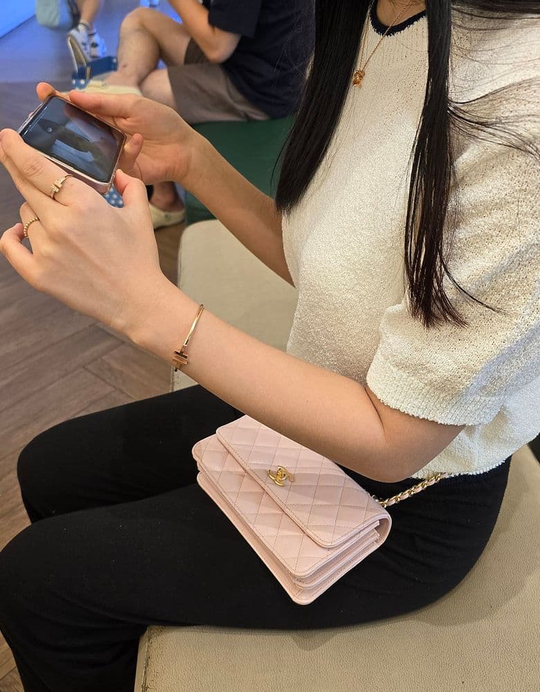 Chanel Season Bag in Light Pink (Mini)