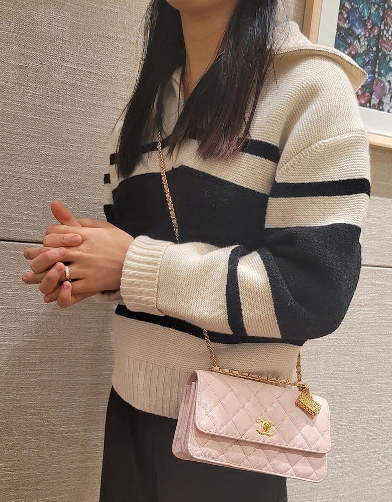 Chanel Season Bag in Light Pink (Mini)