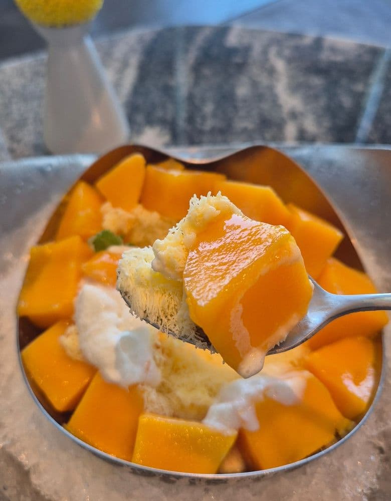 에르메스 오즈뮬, 파리로퍼, 미니 콘스타스 벨트