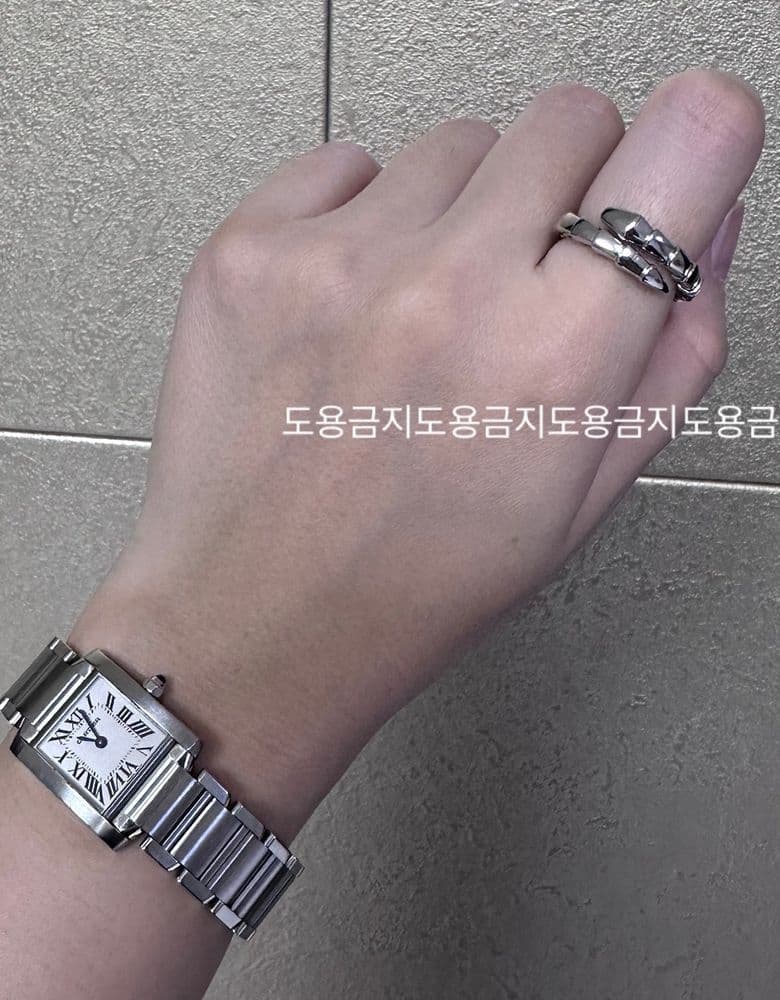 Bulgari and Cartier daily essentials (B.Zero1, Serpenti, Clash, Juste un Clou).