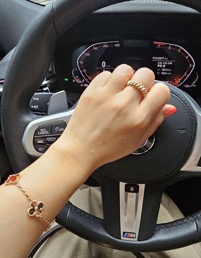 Van Cleef & Arpels Alhambra Carnelian Vintage Yellow Gold Necklace + Carnelian Guilloché Rose Gold Bracelet