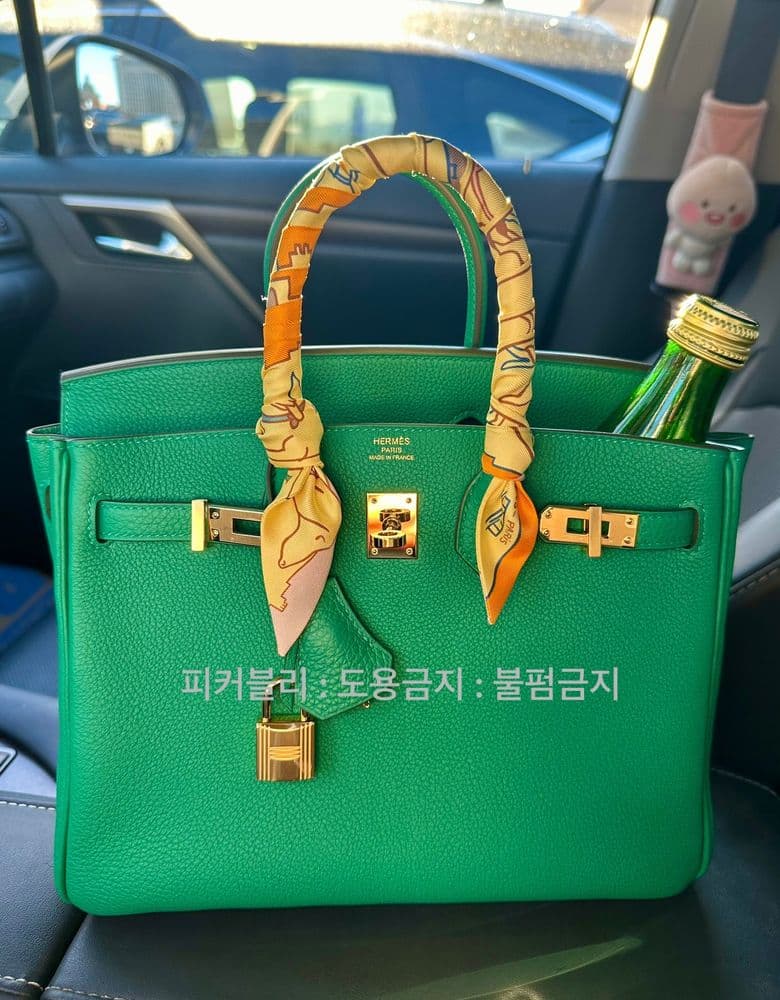 Hermès Birkin 25