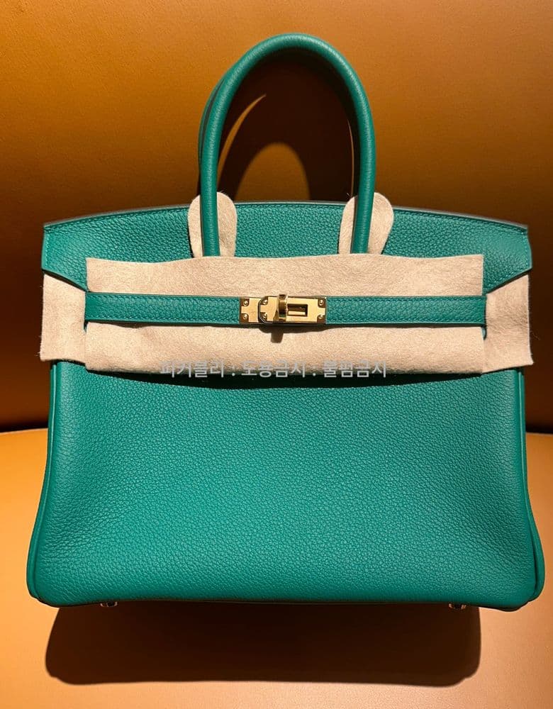 Hermès Birkin 25