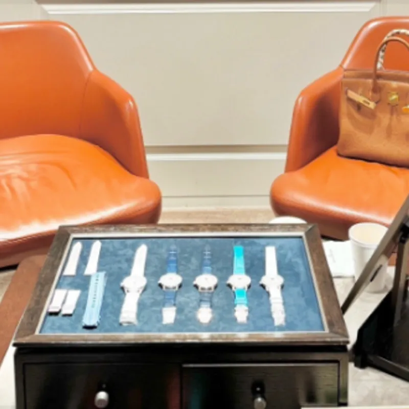 블랑팡 레이디버드 신상과 한정판 떼땅저 feat. 버킨골금