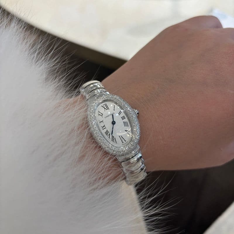 까르띠에/바쉐론 콘스탄틴/브레게/피아제/쇼파드 시계 위시템 모아 봤어요