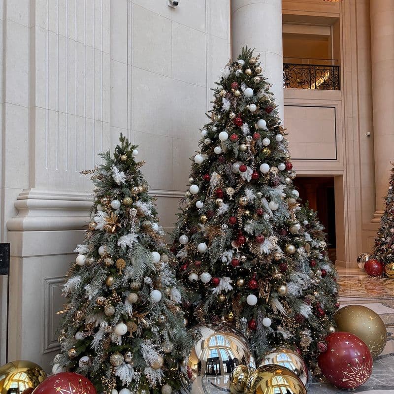 Top 3 Christmas tree spots that will fill you with holiday cheer!