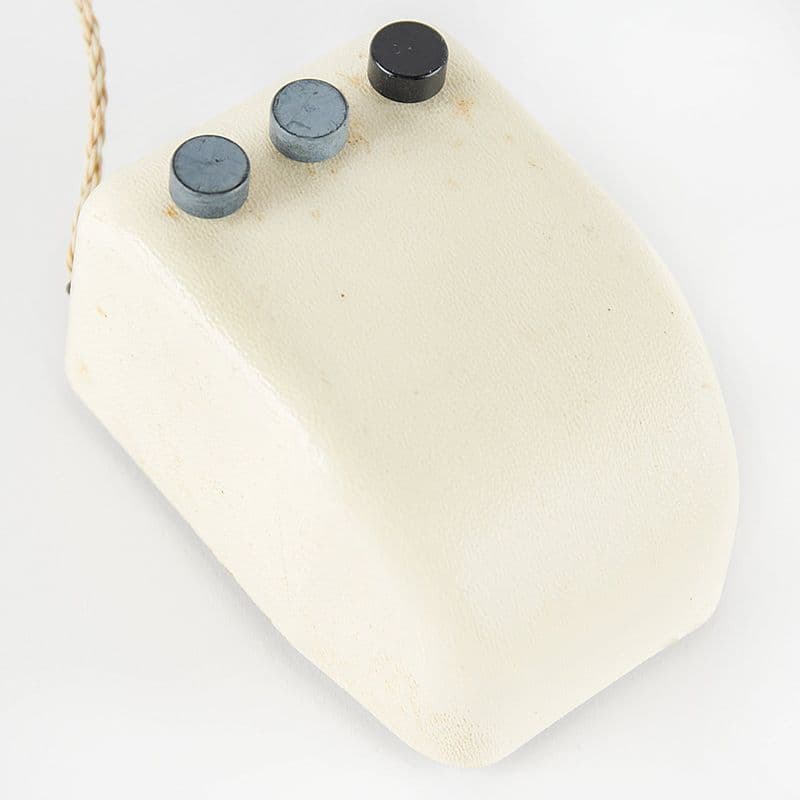 What's the story behind this mouse that costs over KRW 200,000,000?