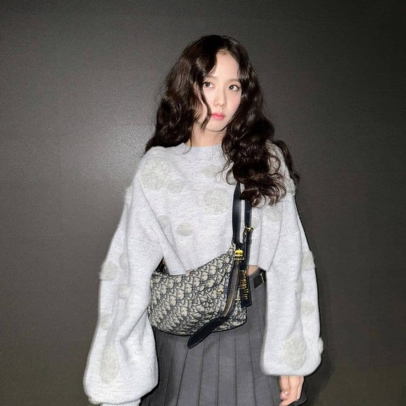 프레피 룩 지수의 디올 신상 백