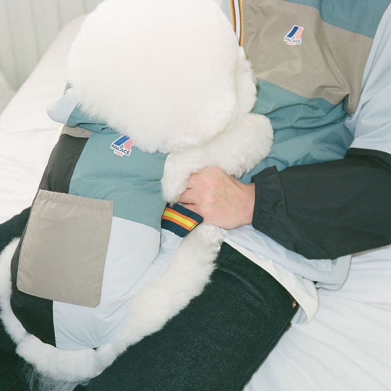 Want to twin with your adorable pup?