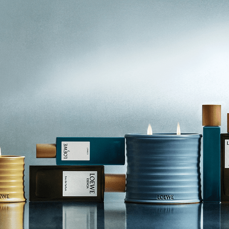 롯데백화점, 로에베 퍼퓸 단독 입점